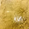 Branded, clearly labeled bag of 100% pure Bulu Powder (Beleric Myrobalan), indicating organic sourcing from Sri Lanka.