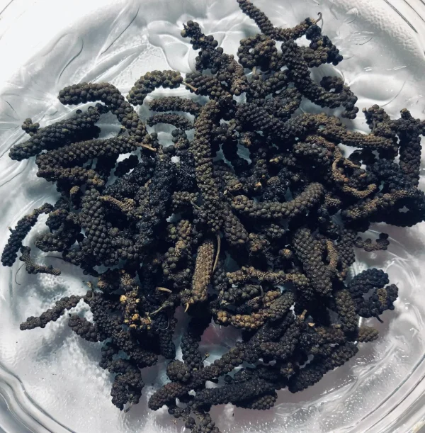 Dried Thippili (Long Pepper) spikes being ground in a mortar and pestle or blended with other spices for a traditional mix.