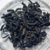 Close-up of elongated, cylindrical, dried Thippili (Long Pepper) spikes, showing their textured surface.