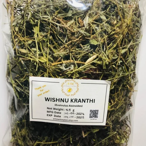 Close-up of dried Wishnu Kranthi (Evolvulus alsinoides) herb, showing its small oval leaves, slender stems, and remnants of tiny flowers.